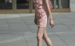 苟晶事件算反转吗